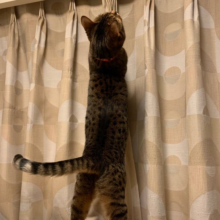 8a4a4f66 e182 430d ba4a 64b5265cc76f 1547502149832