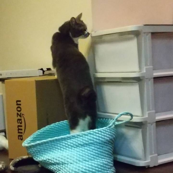 8a4a898e b2e6 49ca 9f9a d57159b10dc0 1650205351534