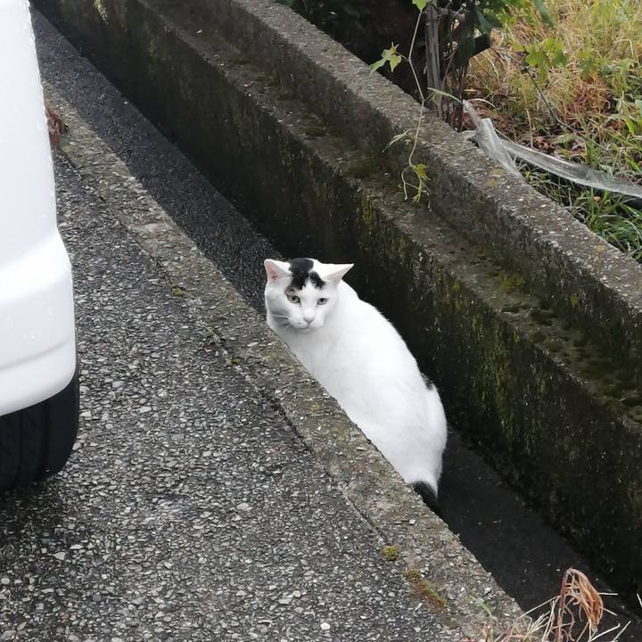 8a4a89fd d4b7 49fa 831f ad02bee4b665 1628716221119