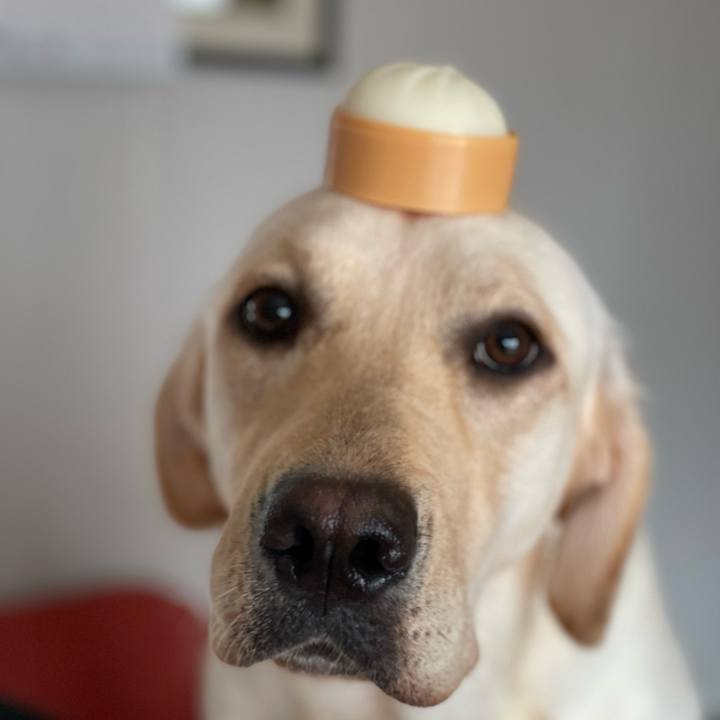 8a4a9982 2a6b 4078 80f6 8b6d00f77100 1657763888846