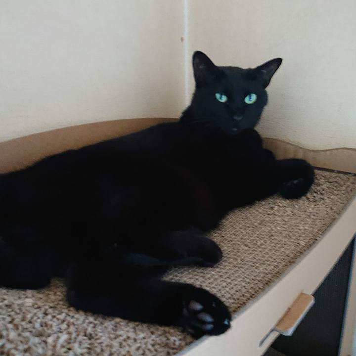 8a4af0f4 81c4 4f49 9fea eb97b526ea5c 1628389003447