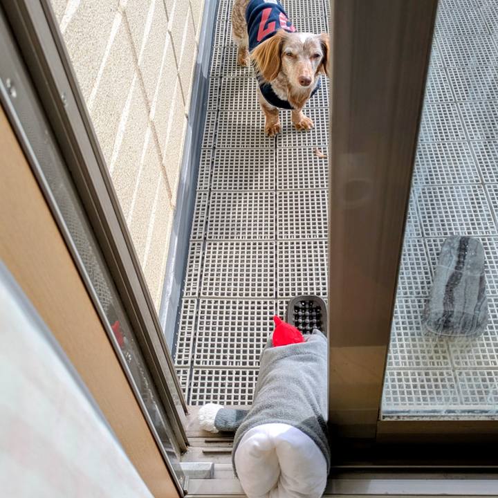 8a4afd0f b07a 4a52 9450 956bbb8c6593 1764217238540