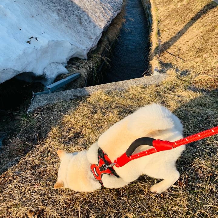 8a4b2908 8d6f 4d9f 9b88 2d6b643892e2 1679355303158