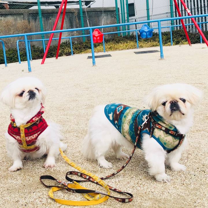 8a4b35fe 8fca 4670 92d3 7698d97ed2cd 1614601552152