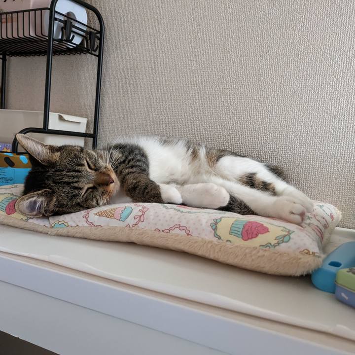 8a4b6461 e0ee 40a1 bfeb 26c77039377c 1686171255411