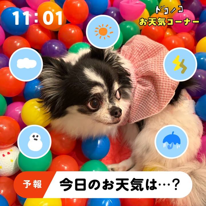 8a4b93f1 9d3d 4898 b975 7efb8c5483b2 1781538376724