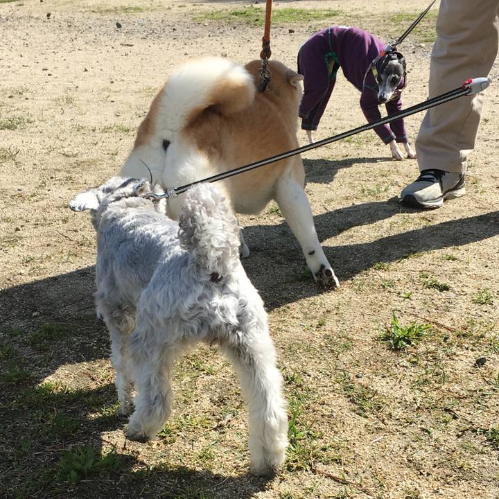 8a4bd472 509b 4d15 8adc 904caa9556ab 1523778972165