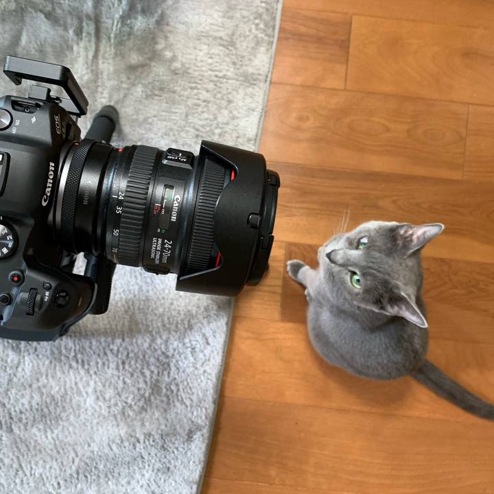 8a4bddb7 d03d 4445 b414 3df2786ba995 1649827632603