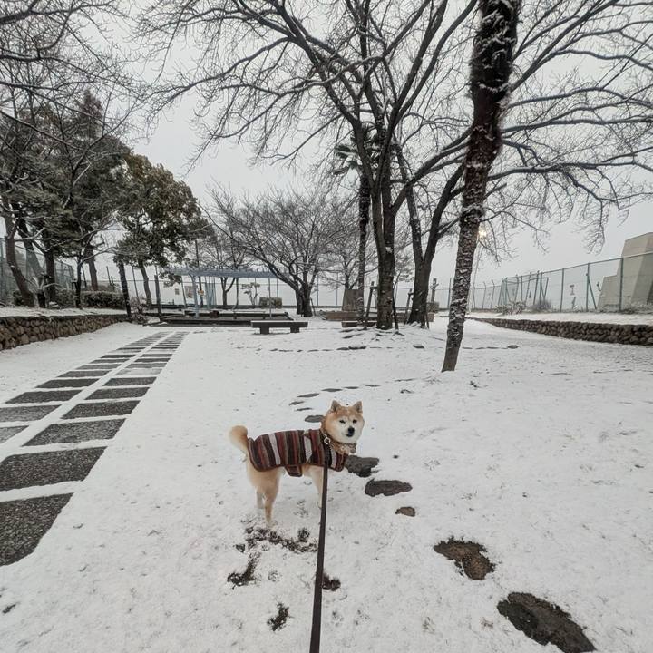 8a4bfbd2 abb3 4097 9594 283f1fd93cf6 1770519676556