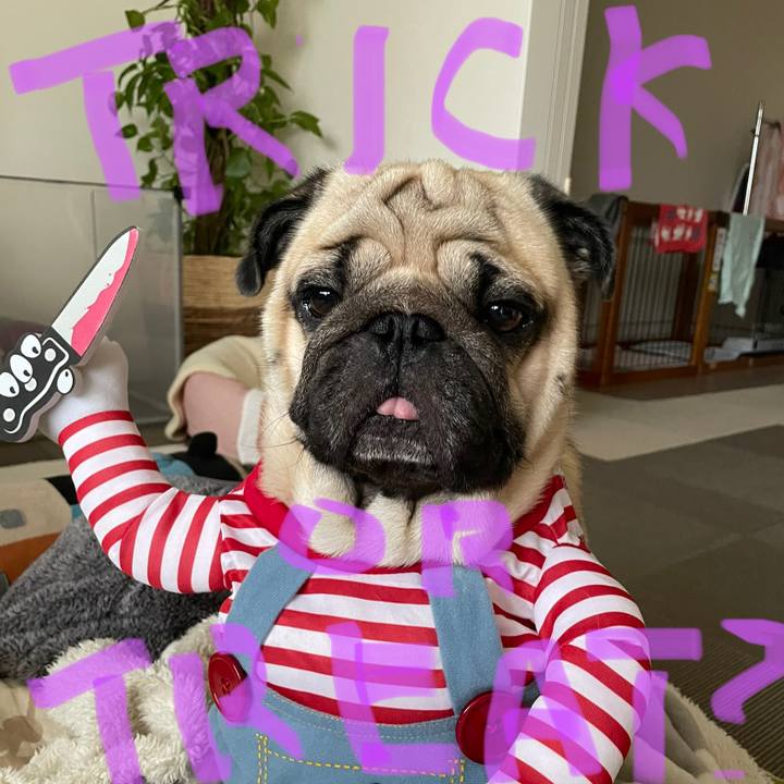 8a4bff7d 4e68 43ec 9ce3 8277de66878e 1635659090371