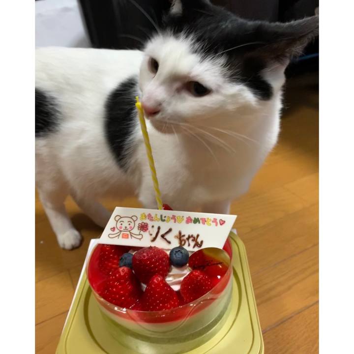 8a4c1b7e ae8b 4ca4 aed1 7579238f47dc 1553175427399