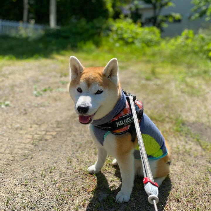 8a4c207b 94cf 4fe7 aecb 1a38c458f323 1687771170033