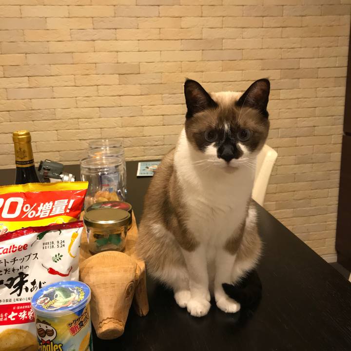 8a4c30c4 8548 46da 8a0b 91ac79ea0bdc 1532430758068