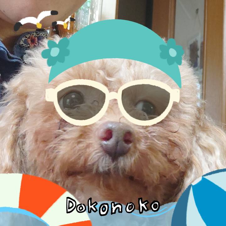 8a4c6ef1 6279 44fd 9d91 8ea53c24cbf3 1723443259251