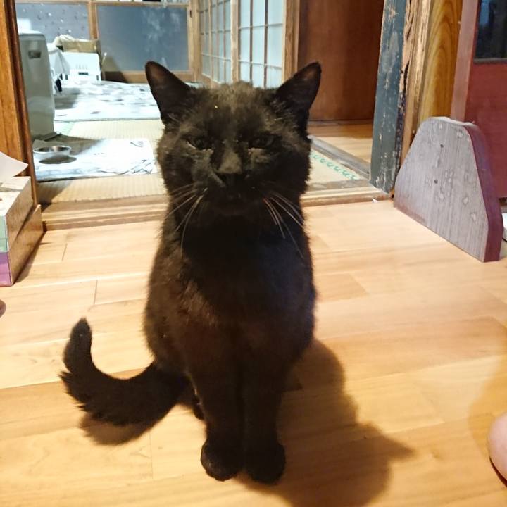 8a4c9600 e74a 4ce7 8c0a e32651f6721b 1622985614122