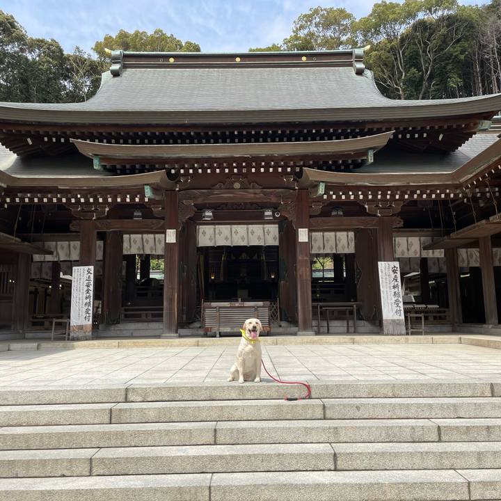 8a4c9fb4 0696 48c3 a64a b85cb2617d32 1648616578470