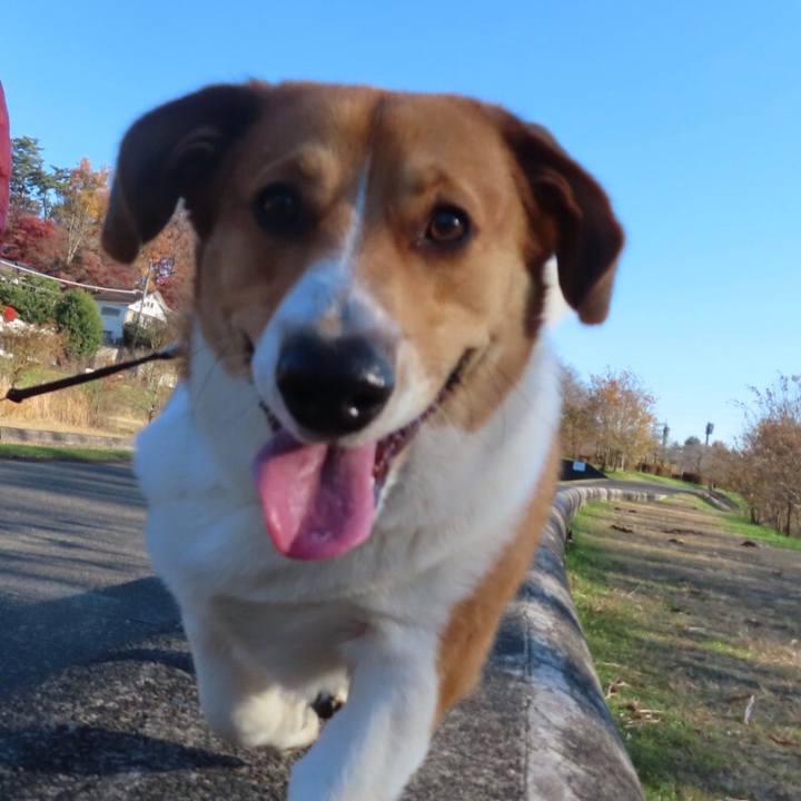 8a4cff7d e7b7 40e3 ba61 3ccb4ad5001f 1641348279245