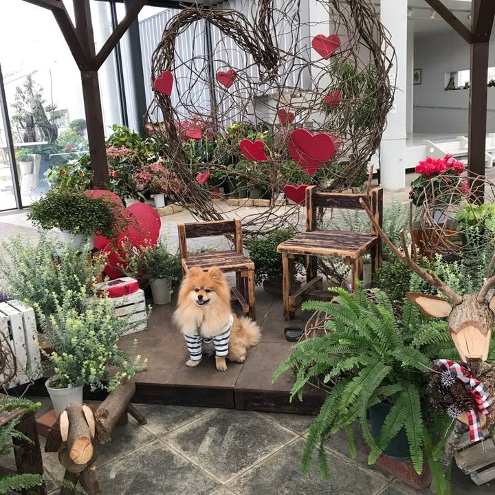 8a4d34d5 9067 4ea3 affd 9ddcd4fe5adc 1555244327996