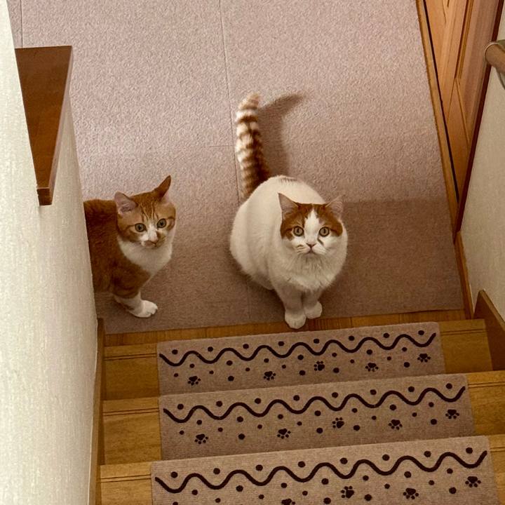 8a4d3af1 c753 4156 9c04 1cb656a90182 1775529095912