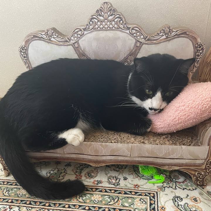 8a4d449a 590e 4ac3 b799 f4abe61c24aa 1690768615319