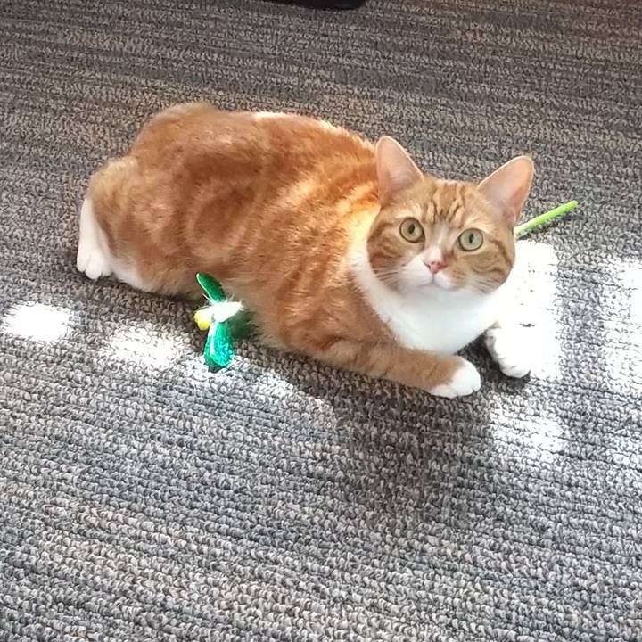 8a4d7a9f 83b1 45e2 908d 23fd471a1da9 1653780674798