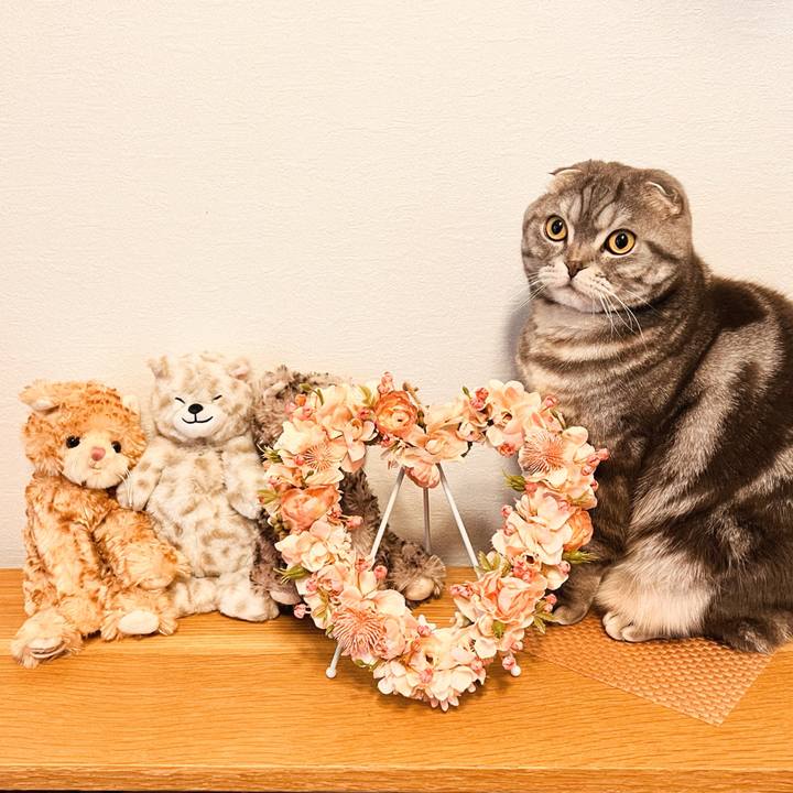 8a4da715 4978 4b64 879d aa7787b27660 1708601915335