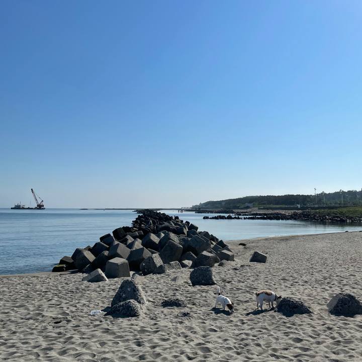 8a4ddeae df70 49dc afe3 b79916c75315 1623283215904