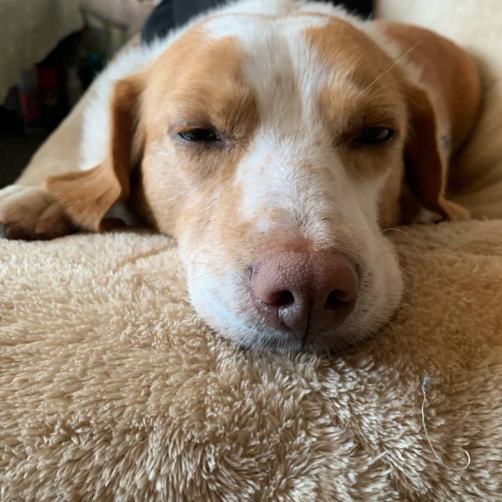 8a4dfca2 1864 4c50 948f 06fd0a83cc74 1642819319643