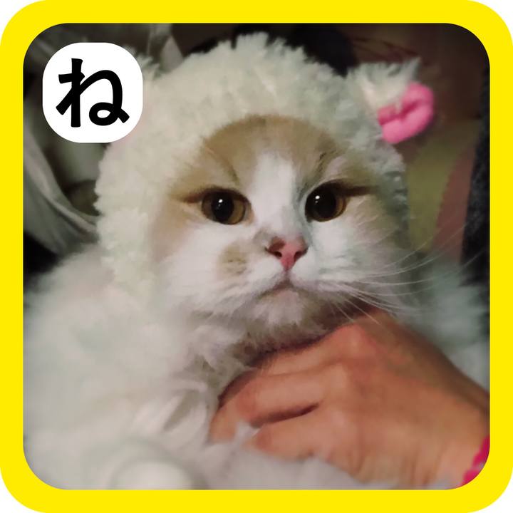 8a4e1e08 fb6d 4e7f bad5 4d0834b3d7a9 1515141604224