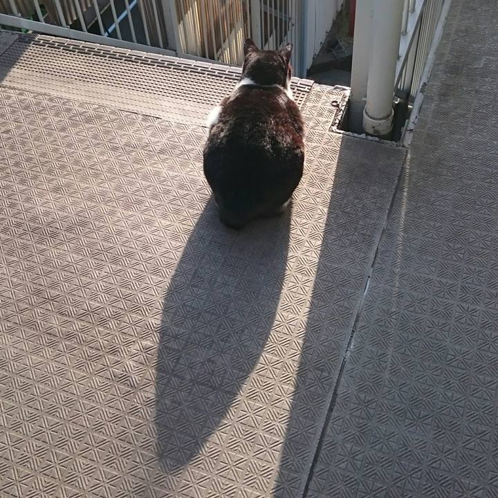 8a4e23fd 1de1 4ca7 bbfc bb254fc79d2b 1523244463732