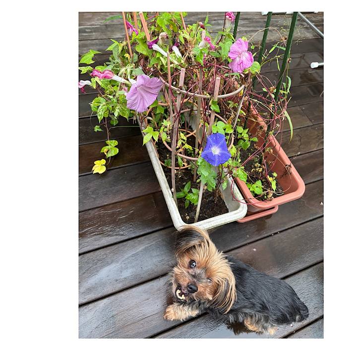 8a4e6896 f6e1 4791 8d11 8c2939769662 1728121080023