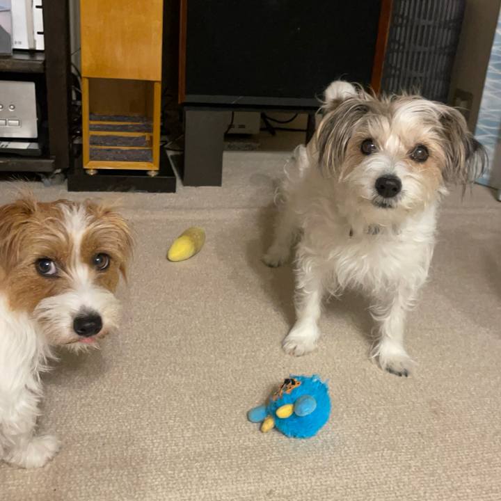 8a4ec8ac 10c0 44d9 b60a d4338915f3a7 1774011299455