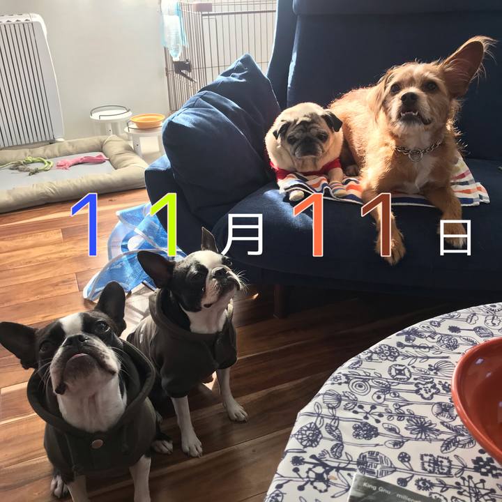 8a4ecec5 3b53 4d2e b5b5 545939c97281 1605097355971