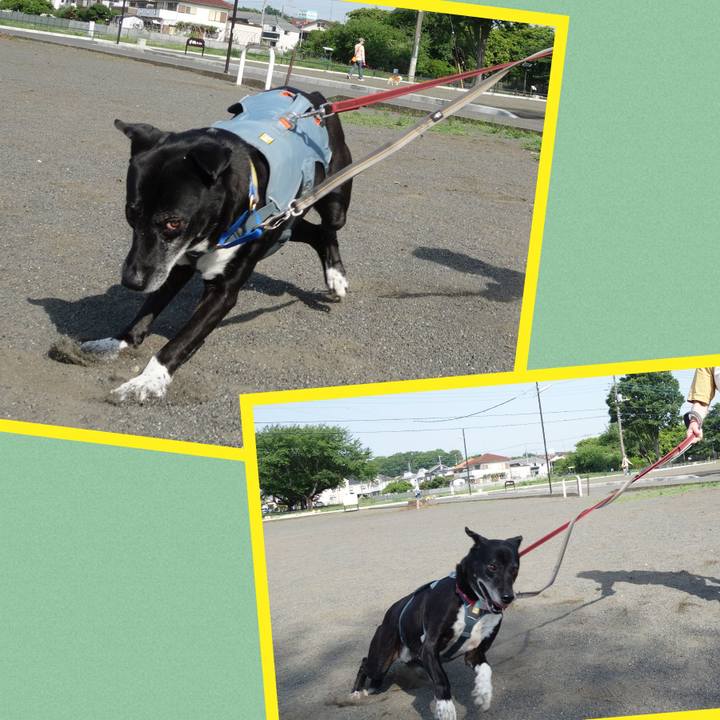 8a4ed366 45d5 4d71 8fa4 0d9138d7e1a8 1747704467517