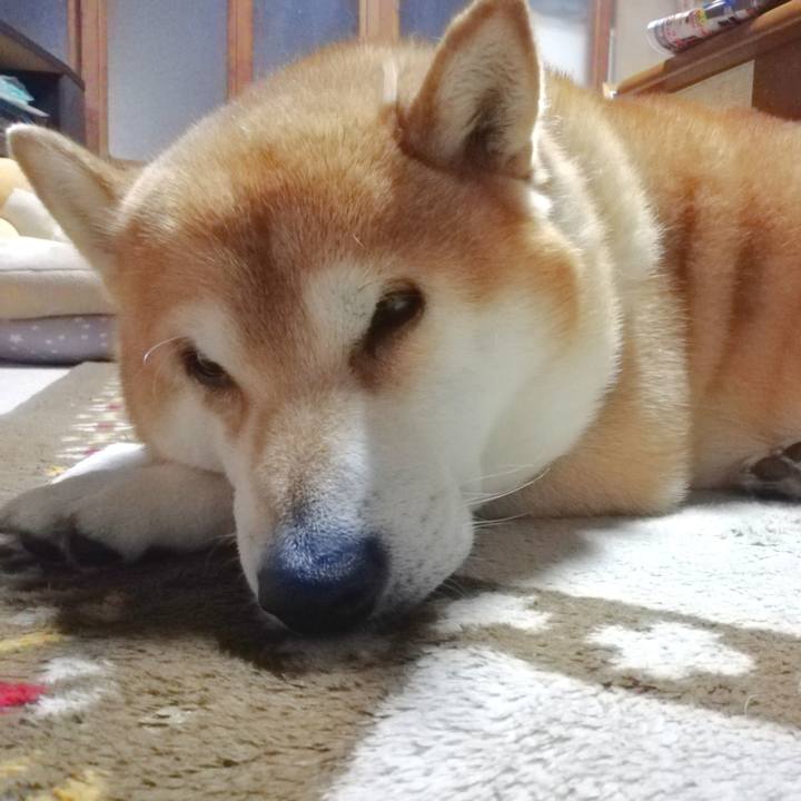 8a4ee4a8 a809 4f8d 8819 3860b2751847 1640318031151