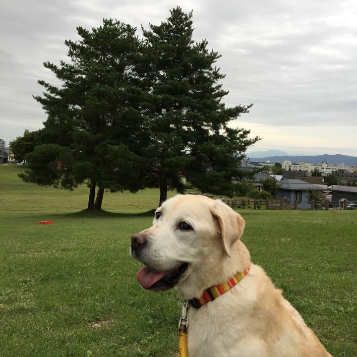 8a4eec36 a072 410d 9241 1a67be8dec46 1537955719820