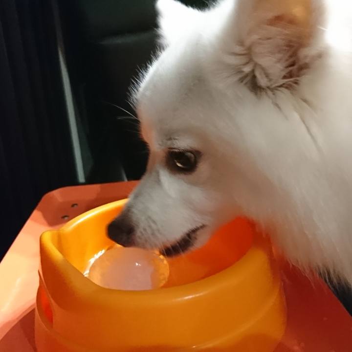 8a4eee2f 7ac7 483f 8ed3 c4e661a94f6b 1563372709557