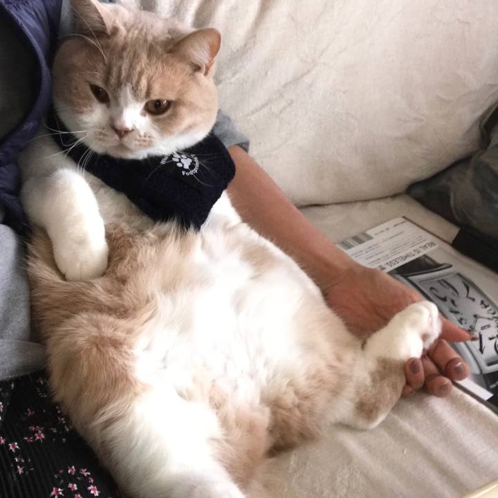 8a4f1107 7980 4c42 8519 b3d387795373 1508676674270