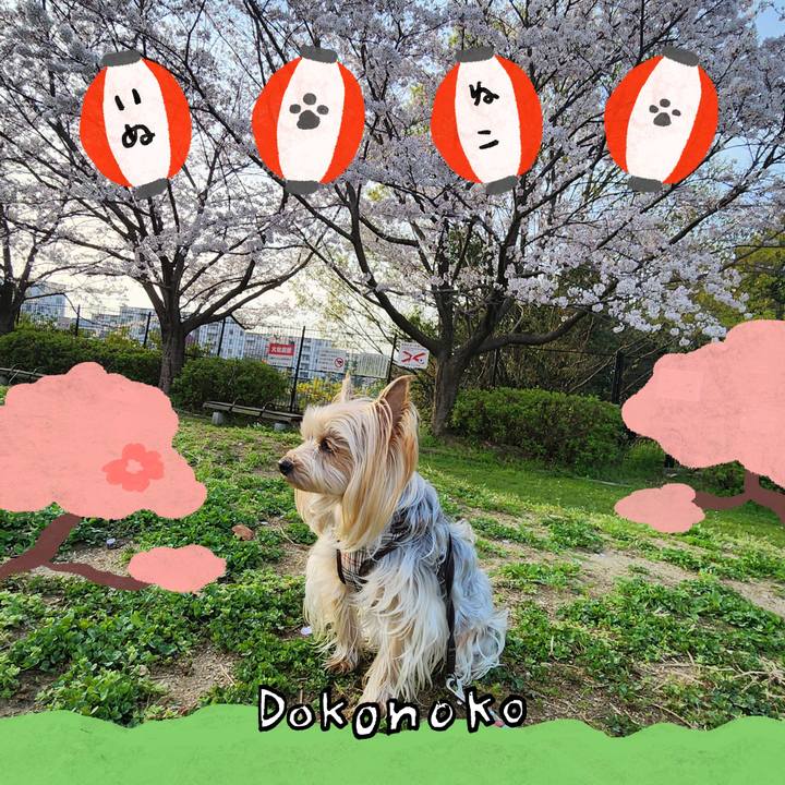 8a4f24d6 df0d 4ddc 8103 48c5b11eff03 1712494381405