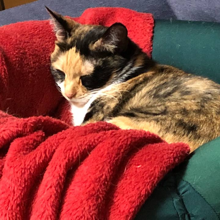 8a4f3869 3215 474f 8eb0 0c9599471a5e 1527343803786