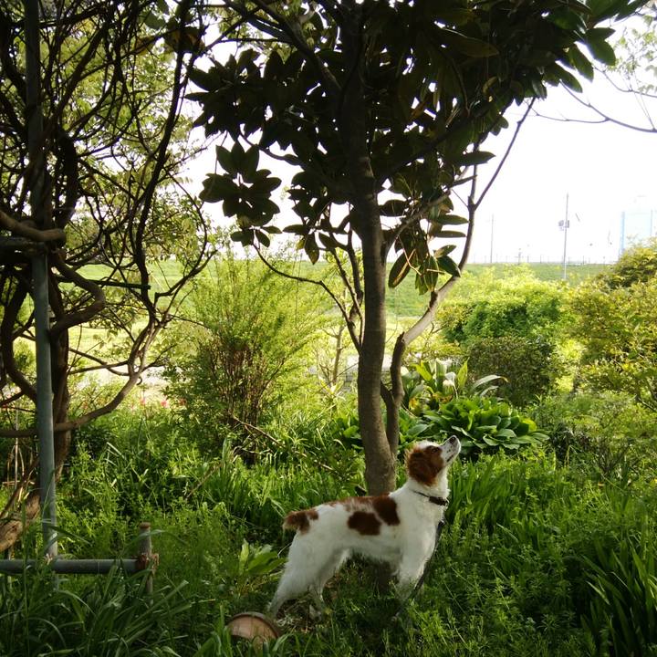 8a4f3d26 34c6 40a4 b9f9 e5db1b8040b9 1523497375134