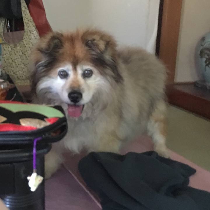 8a4f8f5e 9ca9 4327 bc93 c2fc4fe6d913 1582330286035