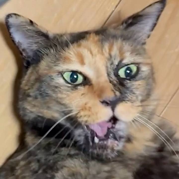 8a4f9eda e519 4e5a a692 9b29ef1796fb 1756605695290