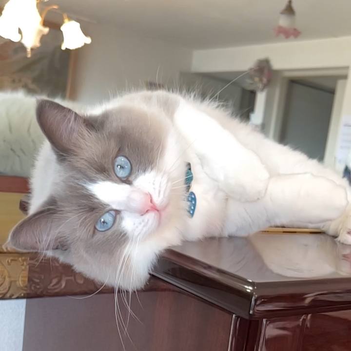 8a4fbd8c 1991 4c63 a1af 9e484e08d7fe 1652828917024