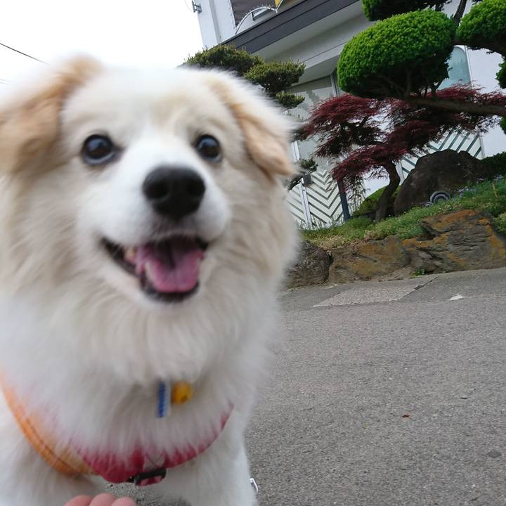 8a4fe85d 214d 4cfb b2e9 36f7787594ae 1525642988989