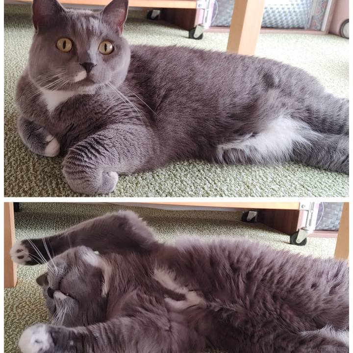 8a504780 dda3 449a 9e04 b43f2c45a691 1640429138032