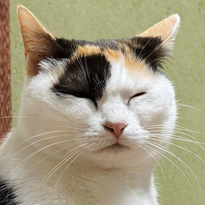 8a505486 8996 438a b8c1 298c7bc88af1 1682386677364