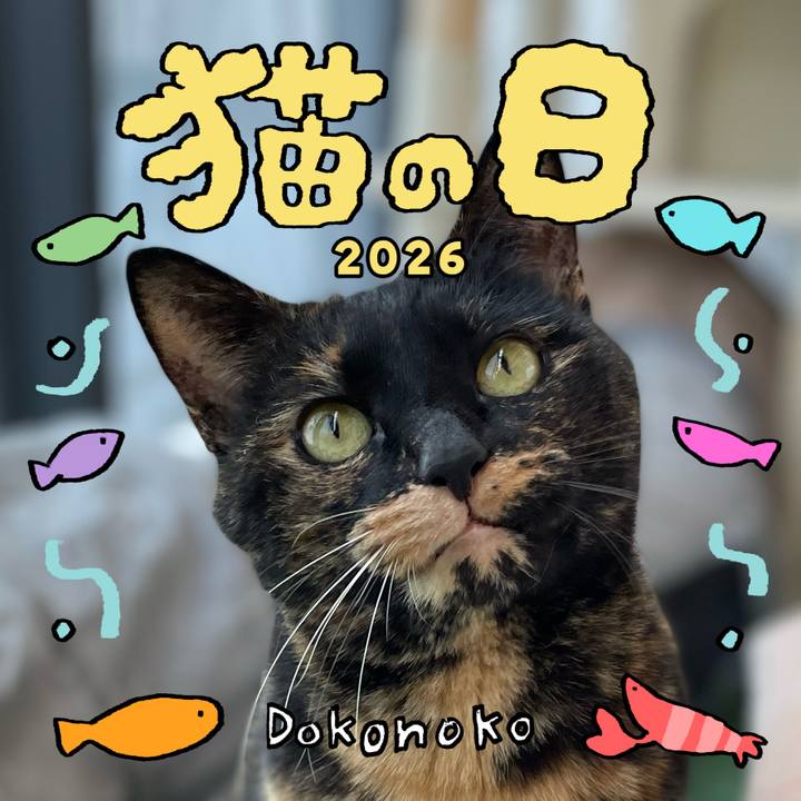 8a506660 4e8e 4dac a109 88ddc3e2c1fd 1771753572572