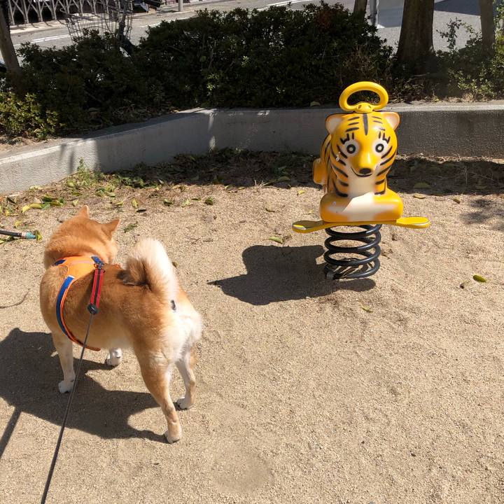 8a507790 055e 43e5 8699 f7955d8c5492 1585111302994