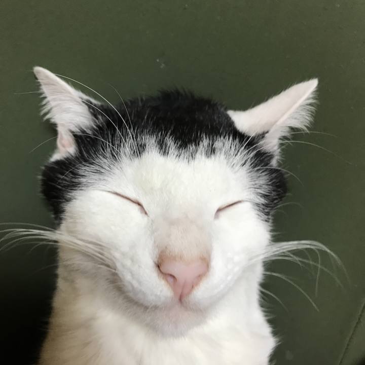 8a508778 9956 4070 81ad 8e9d3de96ec8 1515919768626